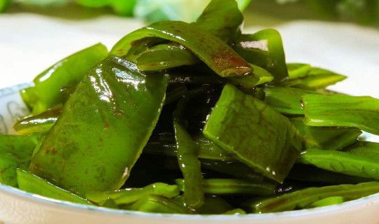 红薯和海带能一起吃吗