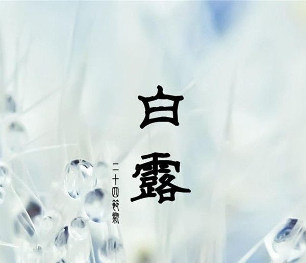 白露指的是什么生肖?