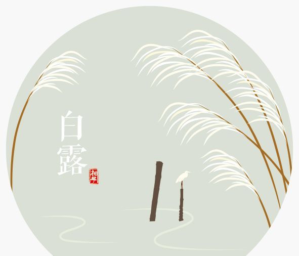 白露指的是什么生肖?