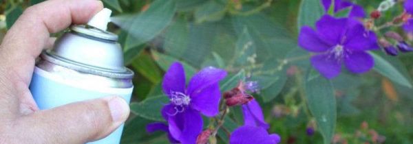 喷杀虫剂开空调可以通风吗