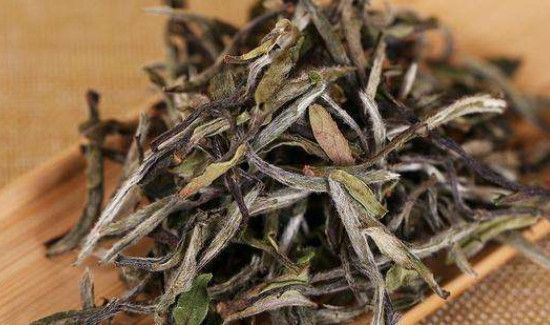 白茶可以存放多长时间