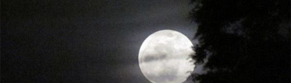 月亮为什么会跟着人走?