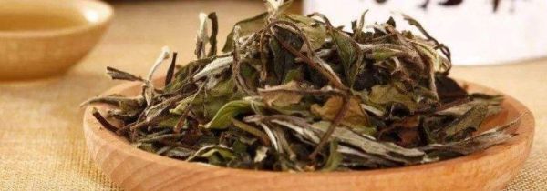 白茶可以存放多长时间