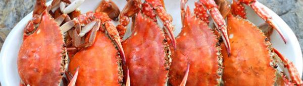 蒸螃蟹为什么苦？