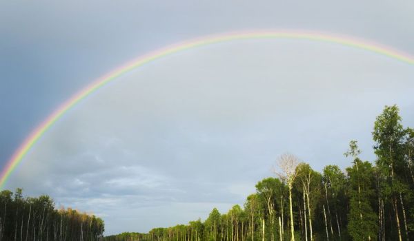 为什么彩虹是弯的?