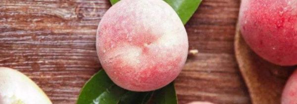 桃子能空腹食用吗