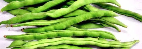 豆角放冰箱长了长锈斑还能吃吗