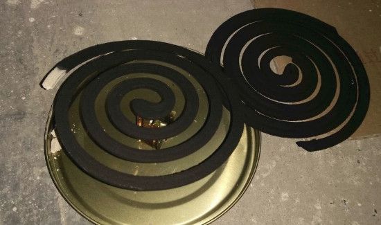 蚊香可以杀死小飞虫吗