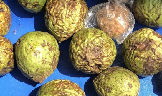 带皮核桃怎么去皮快