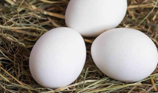 皮蛋和鸡蛋能一起吃吗