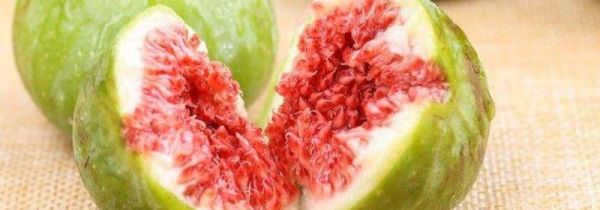 无花果剥皮吃吗