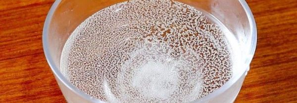 夏天酵母用温水还是冷水