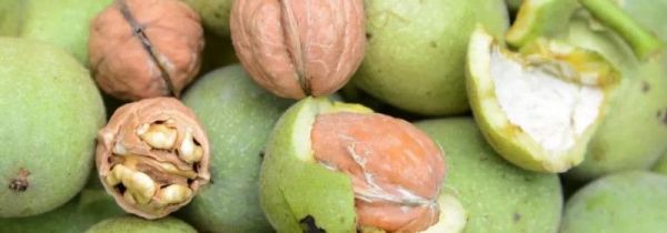 核桃皮汁液弄到衣服上怎么洗掉