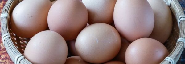 地瓜鸡蛋可以一起吃吗