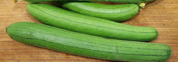 冬瓜丝瓜能一起煮吗