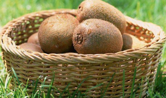 猕猴桃怎么熟的快