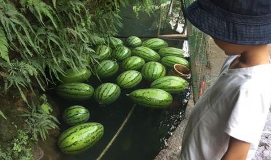 西瓜泡水里一晚上会坏吗