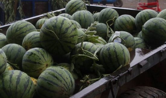 西瓜泡水里一晚上会坏吗