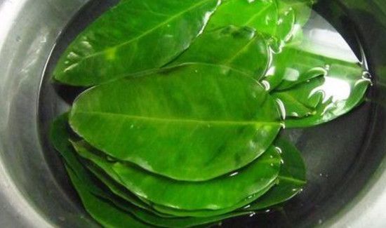 柚子叶洗澡的禁忌