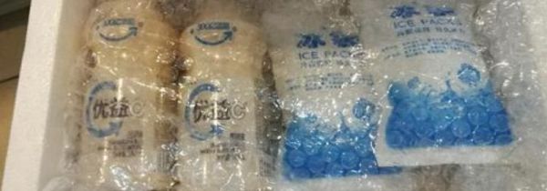 快递冰袋可以保持冷冻多久