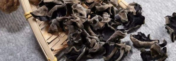 木耳煮熟了放冰箱冷冻还能吃吗?