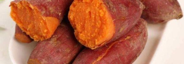 红薯和芒果可以一起吃吗