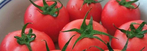 西红柿和猪肉能一起吃吗