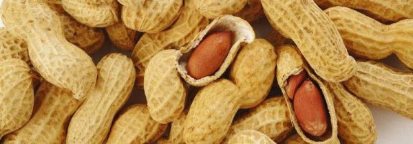 花生和什么不能一起吃