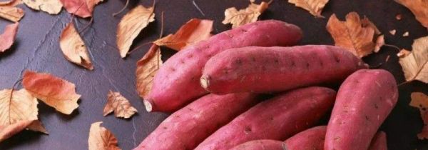 红薯和桃能一起吃吗