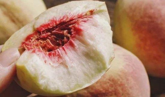 红薯和桃能一起吃吗