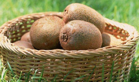 猕猴桃能放冰箱冷藏吗