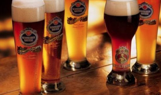 海鲜菇不能跟什么一起吃