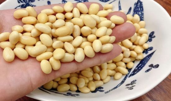 泡好的黄豆放冰箱能放几天