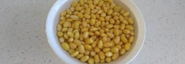 泡好的黄豆放冰箱能放几天