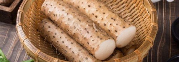 脆山药和铁棍山药的区别