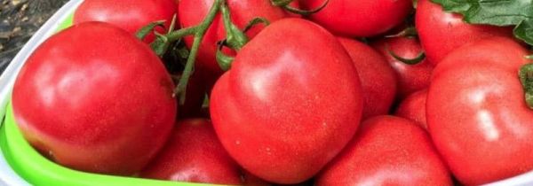 李子和西红柿能不能一起吃