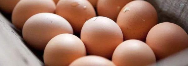 鳕鱼可以和鸡蛋一起吃吗