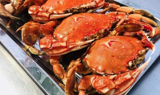 梭子蟹和牛奶能一起吃吗