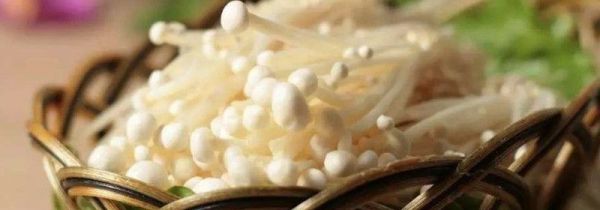 金针菇放冰箱变黄了还能吃吗