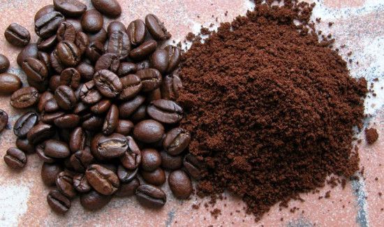 咖啡可以放冰箱里保存吗