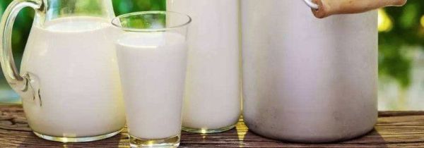 红薯和牛奶可以一起吃吗?