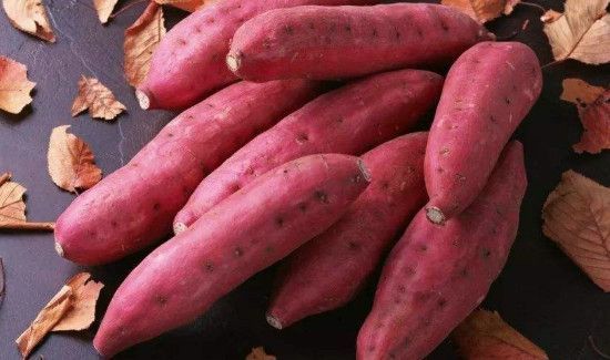 红薯和牛奶可以一起吃吗?