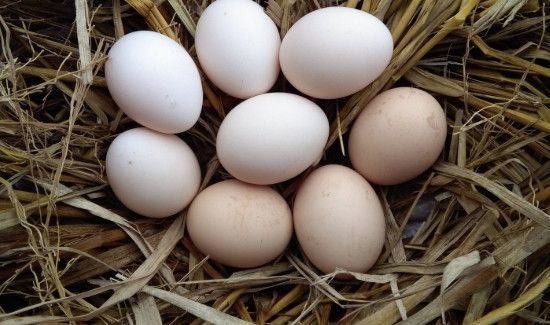 鸡蛋在冰箱里放了三个月还能吃吗