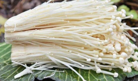 金针菇和香菇能一起吃吗