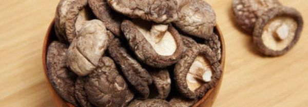 金针菇和香菇能一起吃吗