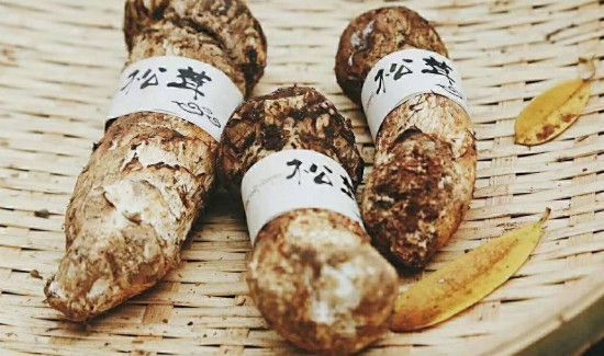 松茸保存前需要清洗吗