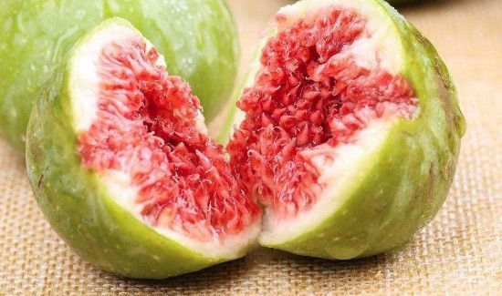 无花果要放冰箱保鲜吗