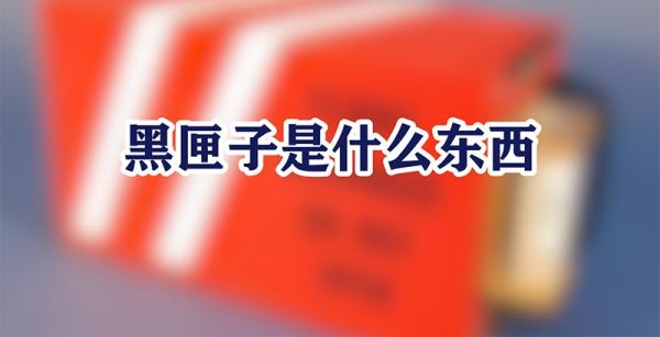 黑匣子是什么东西