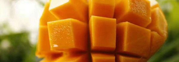 芒果切开放冰箱第二天还能吃吗