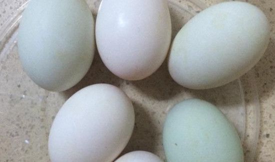 用盐水怎样腌制鸭蛋